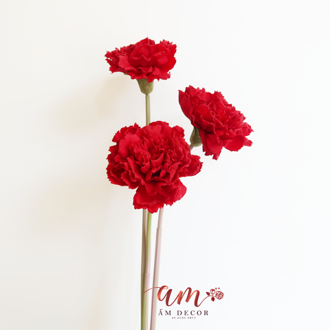  CẨM CHƯỚNG LỚN (Đỏ) 