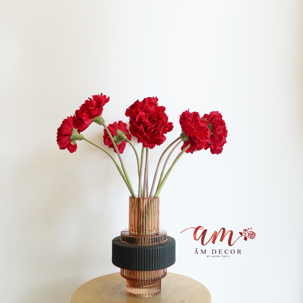 ZCẨM CHƯỚNG LỚN (Đỏ)