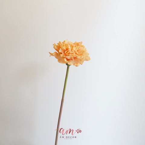  CẨM CHƯỚNG LỚN (Cam) 