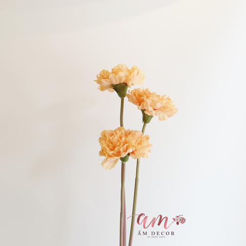  CẨM CHƯỚNG LỚN (Cam) 