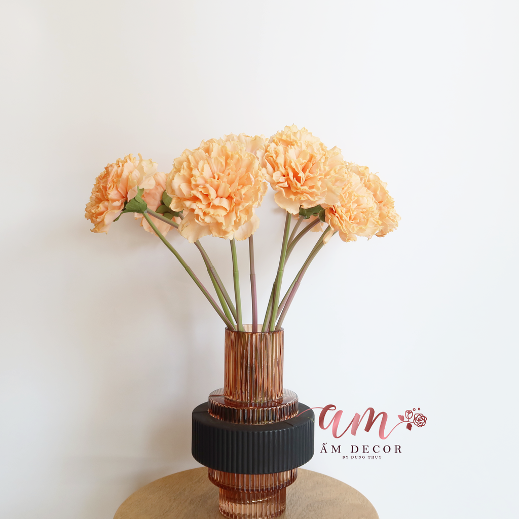 ZCẨM CHƯỚNG LỚN (Cam)