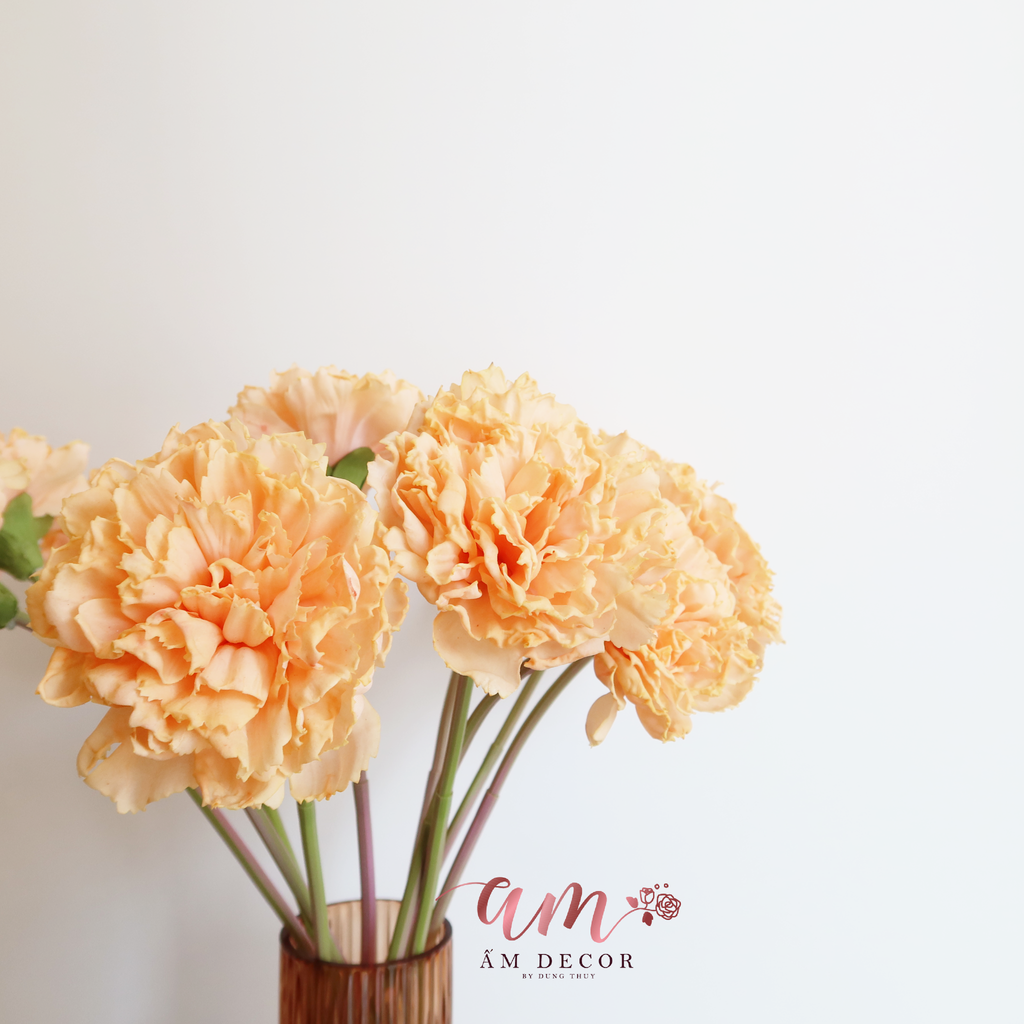 ZCẨM CHƯỚNG LỚN (Cam)