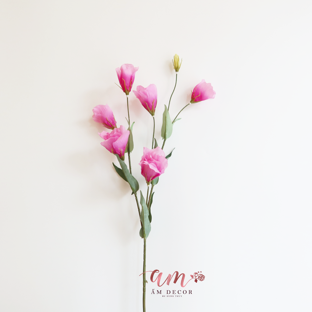 HOA CÁT TƯỜNG CÁNH BÓNG TÍM