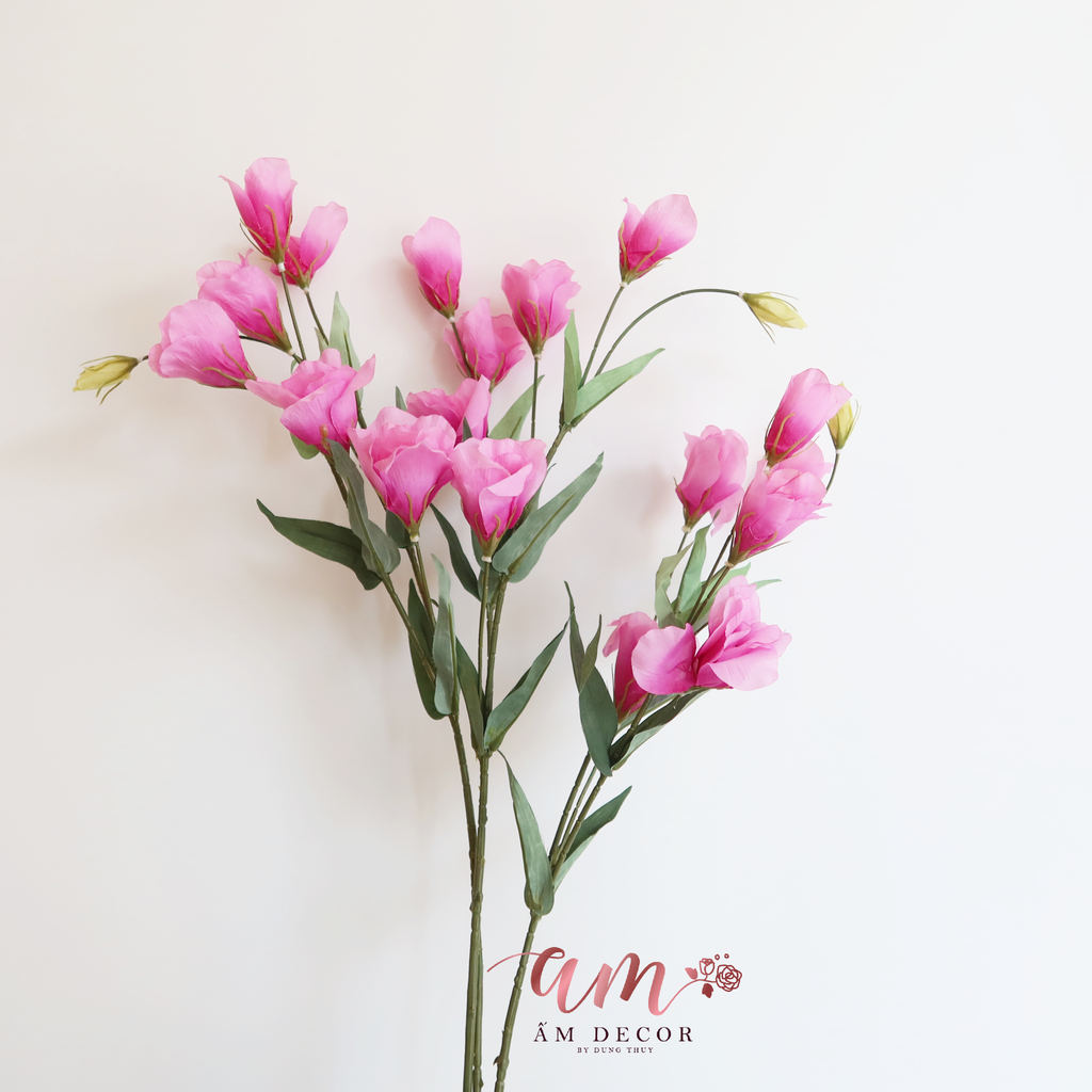 HOA CÁT TƯỜNG CÁNH BÓNG TÍM