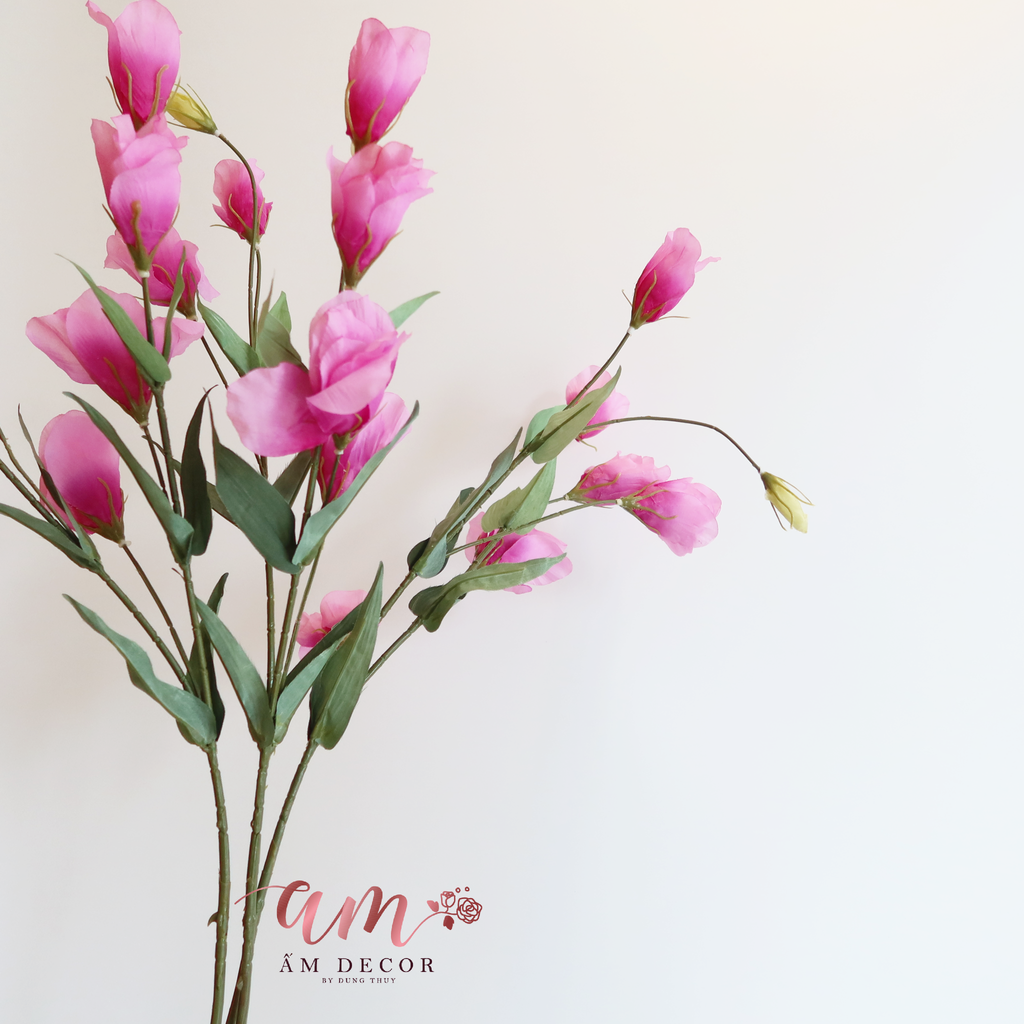 HOA CÁT TƯỜNG CÁNH BÓNG TÍM