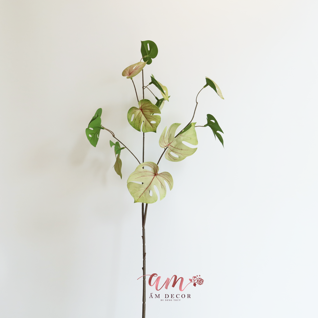 CÀNH LÁ RÙA (Tía)