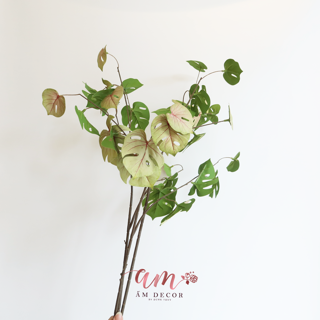 CÀNH LÁ RÙA (Tía)