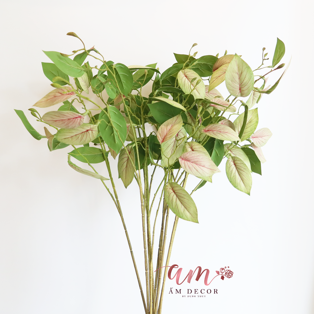 CÀNH LÁ DONG RIỀNG