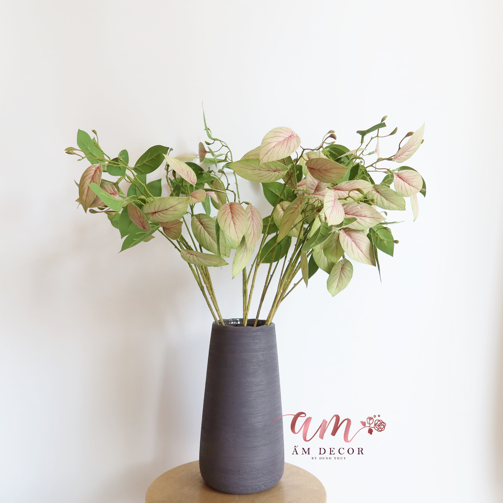 CÀNH LÁ DONG RIỀNG