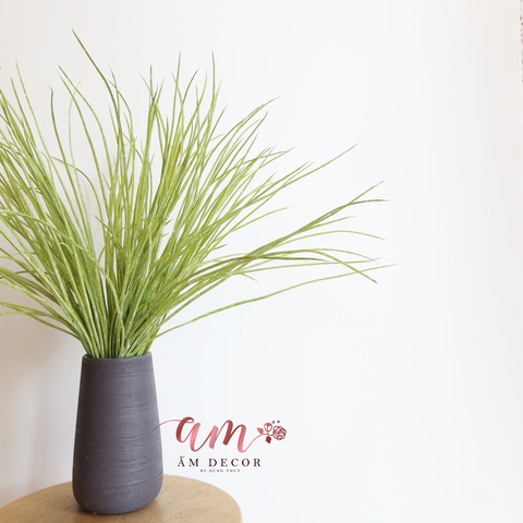  Ấm Plant House - CỎ XANH MẠ DECOR 