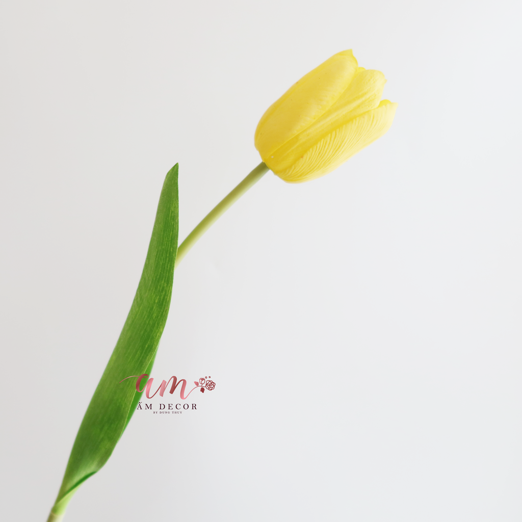 HOA TULIP RAFFIA (Vàng)