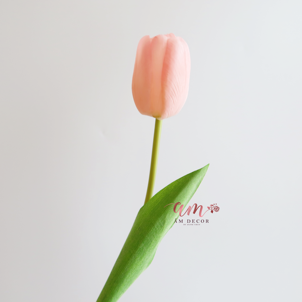 HOA TULIP RAFFIA (Hồng)