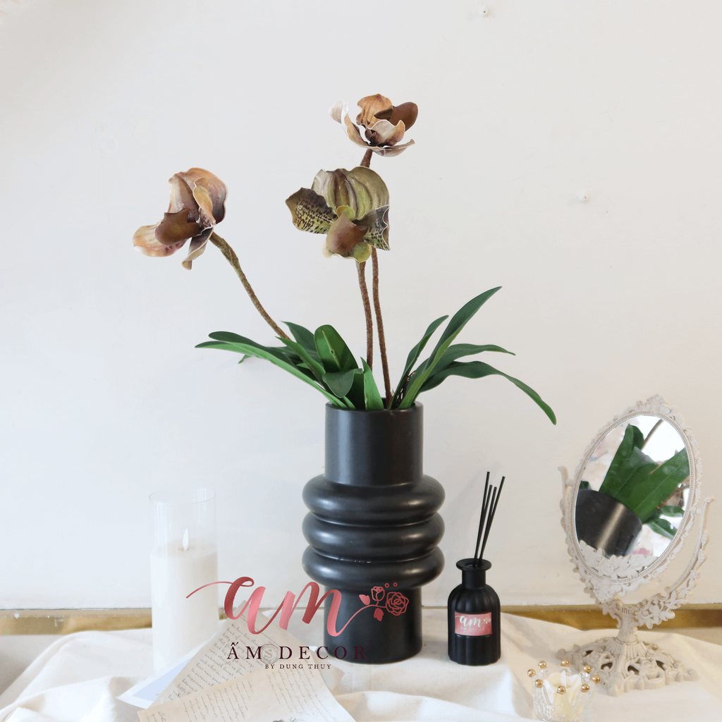 ORCHIDACEAE CLASSICAL