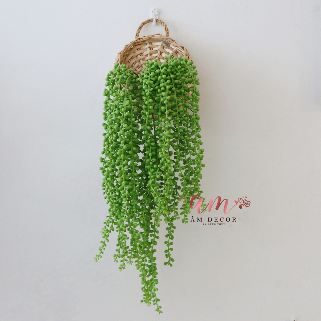 Ấm Plant House - CHUỖI HẠT XANH LEO