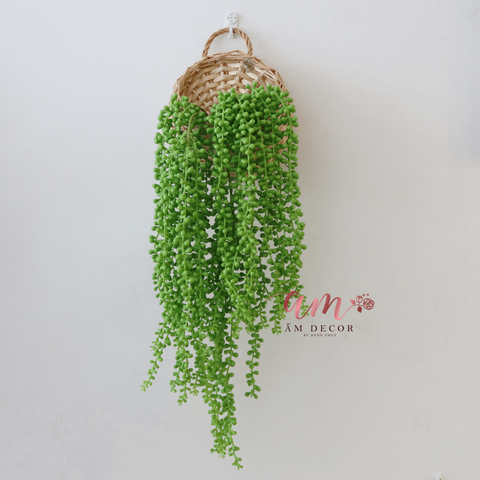  Ấm Plant House - CHUỖI HẠT XANH LEO 
