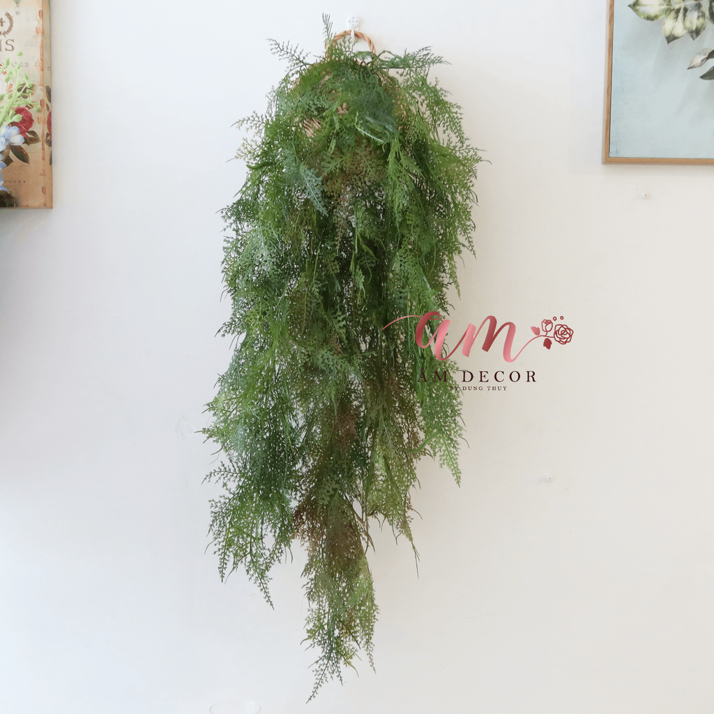 Ấm Plant House - DƯƠNG XỈ LEO RŨ