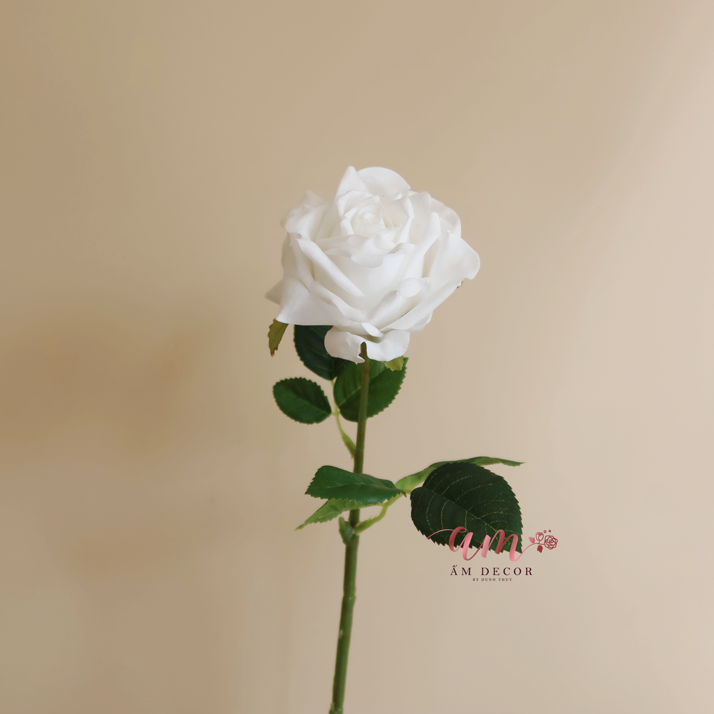 ZHOA HỒNG NHUNG (Trắng)