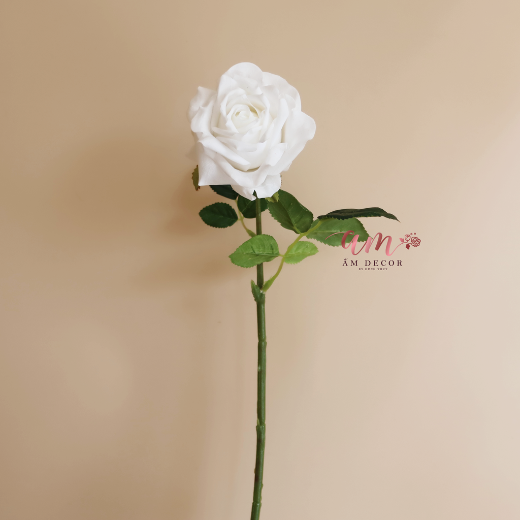 ZHOA HỒNG NHUNG (Trắng)