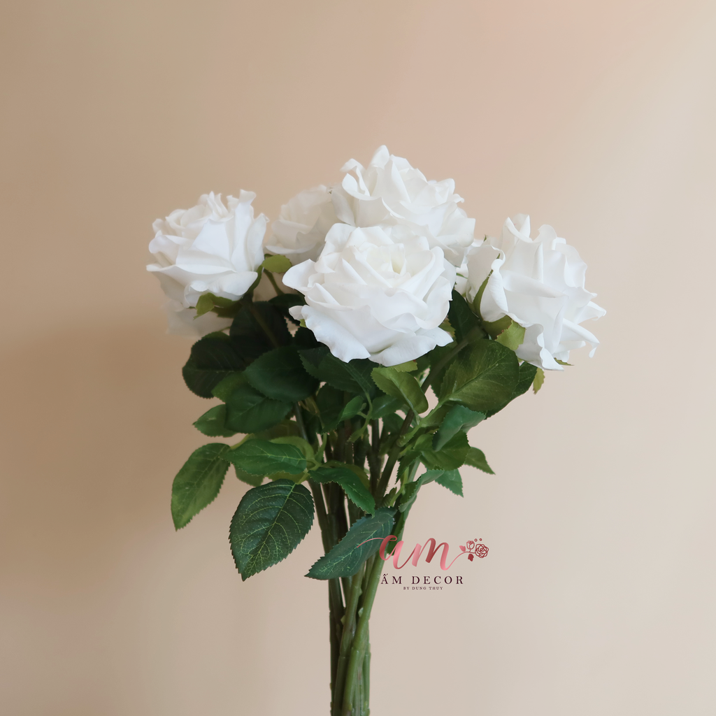 ZHOA HỒNG NHUNG (Trắng)