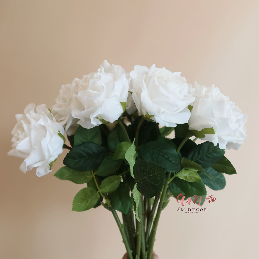 ZHOA HỒNG NHUNG (Trắng)