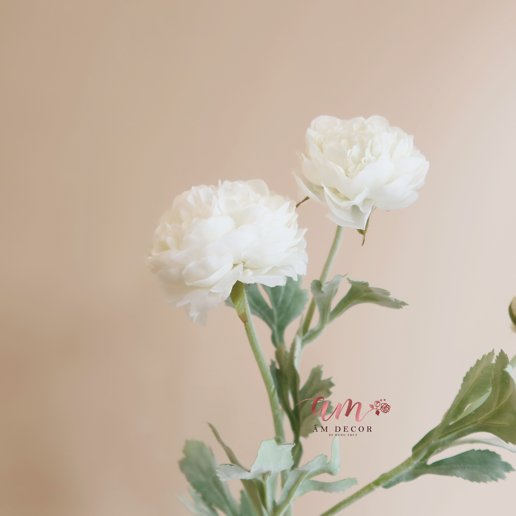 MẪU ĐƠN BÚP (Trắng)