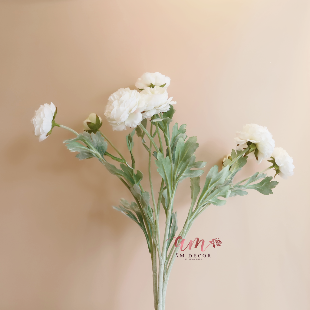 MẪU ĐƠN BÚP (Trắng)