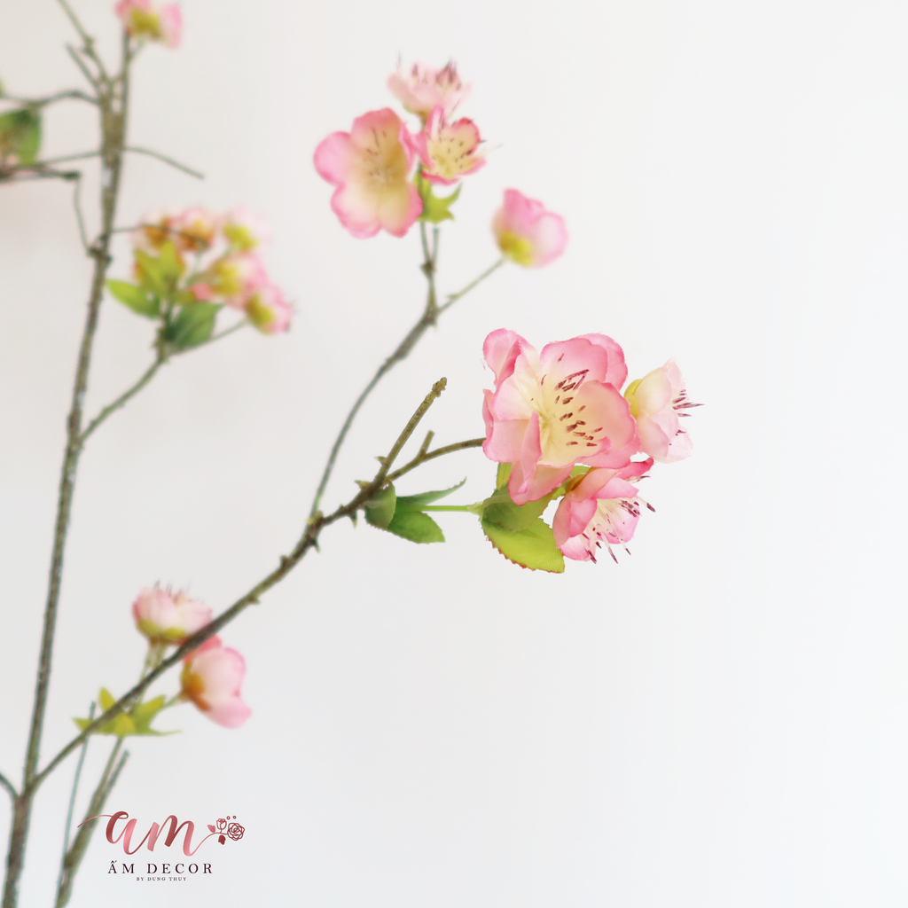 CÀNH HOA ĐÀO THÂN DẺO HỒNG