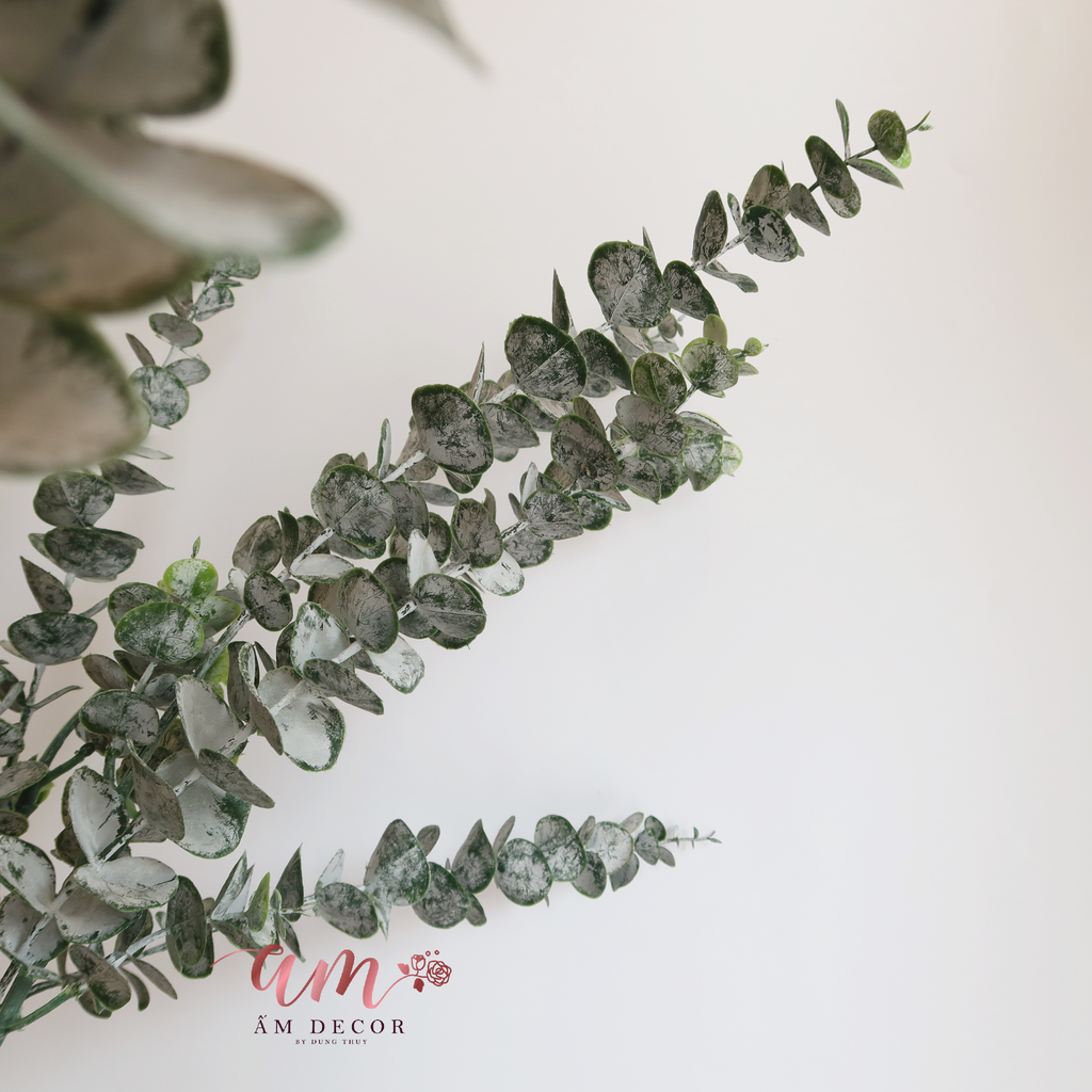 LÁ BẠC TRÒN (3 Nhánh)