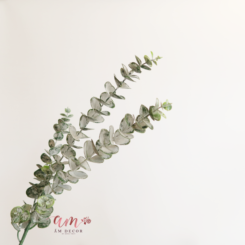 LÁ BẠC TRÒN (3 Nhánh)