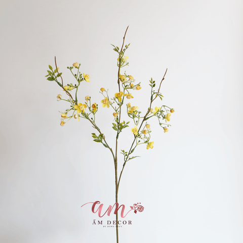  BABY BA NHÁNH ( Vàng ) 