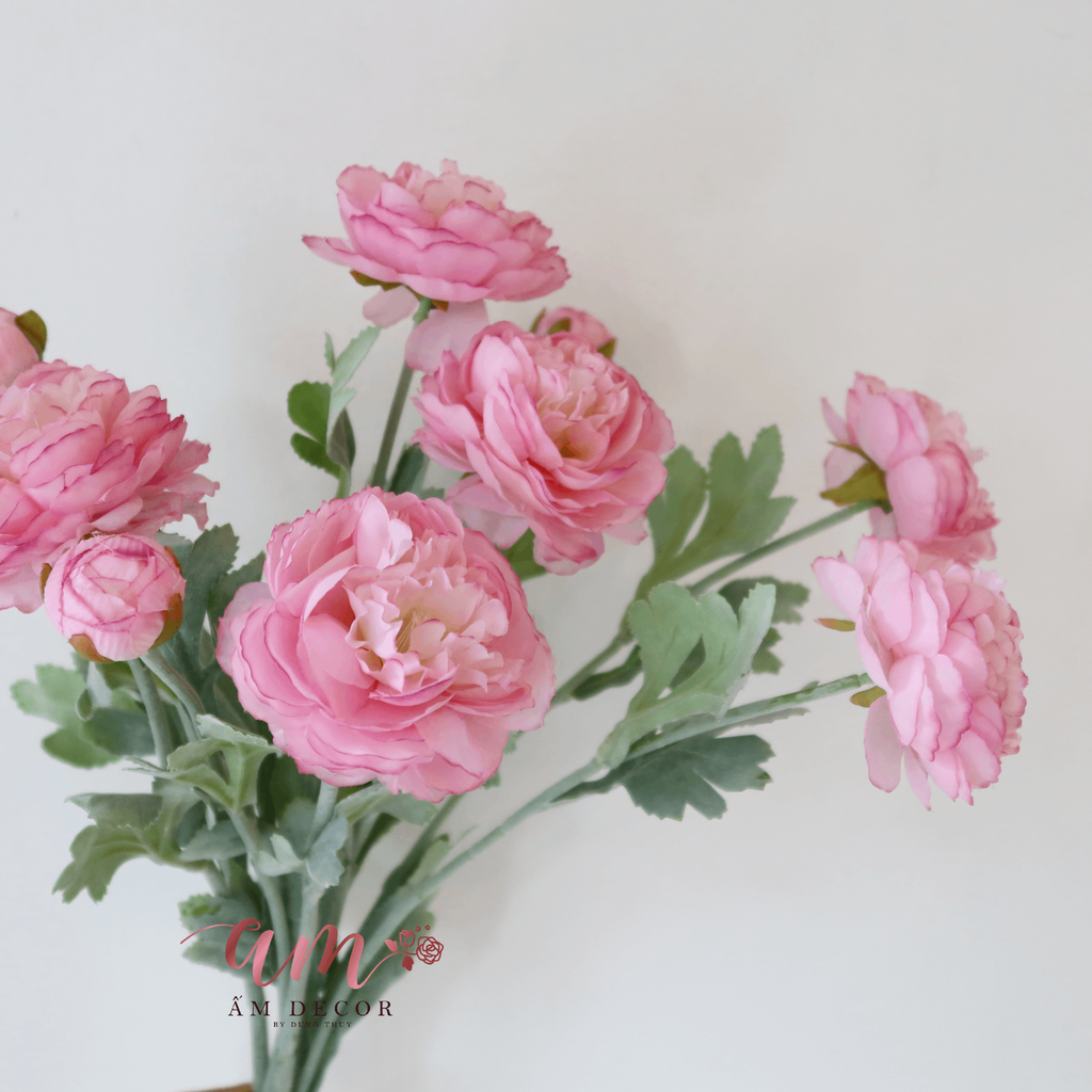 ZMẪU ĐƠN BÚP (Hồng)