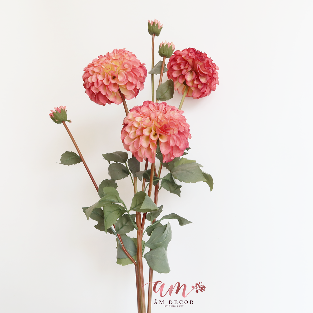 ZTHƯỢC DƯỢC MẪU ĐƠN BÔNG LỚN ( HỒNG )