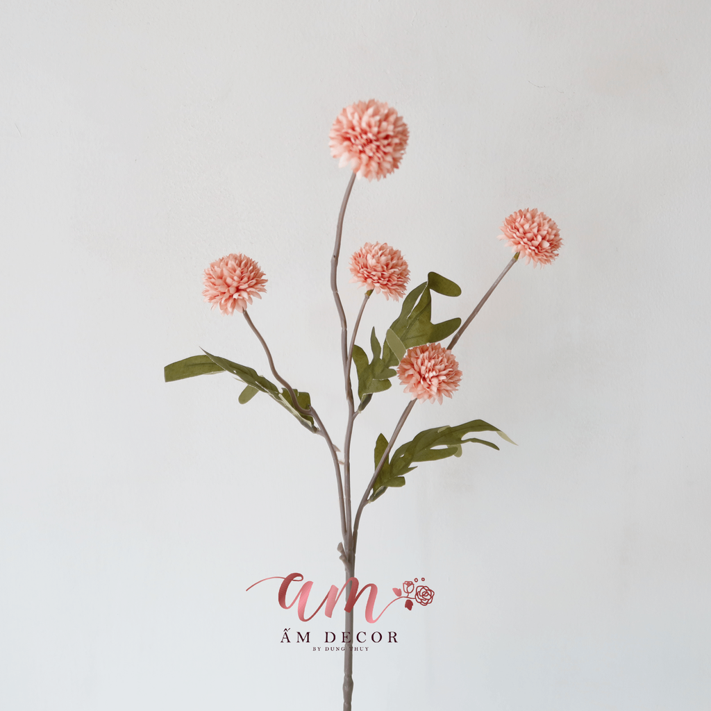 ZCÚC PING PONG NHÍ (Hồng)