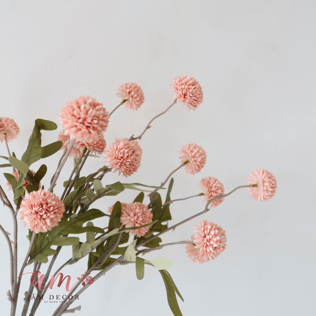 ZCÚC PING PONG NHÍ (Hồng)