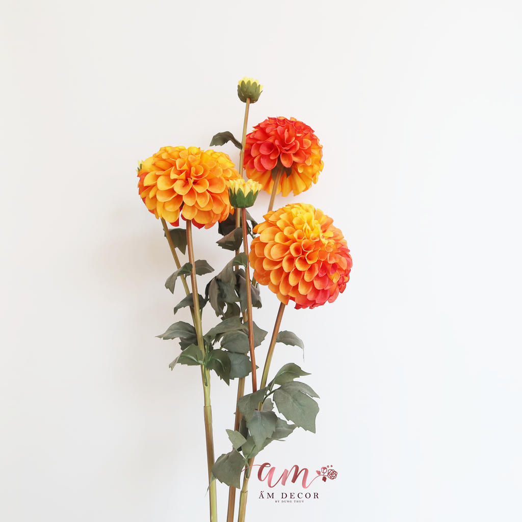 ZTHƯỢC DƯỢC MẪU ĐƠN BÔNG LỚN ( CAM )