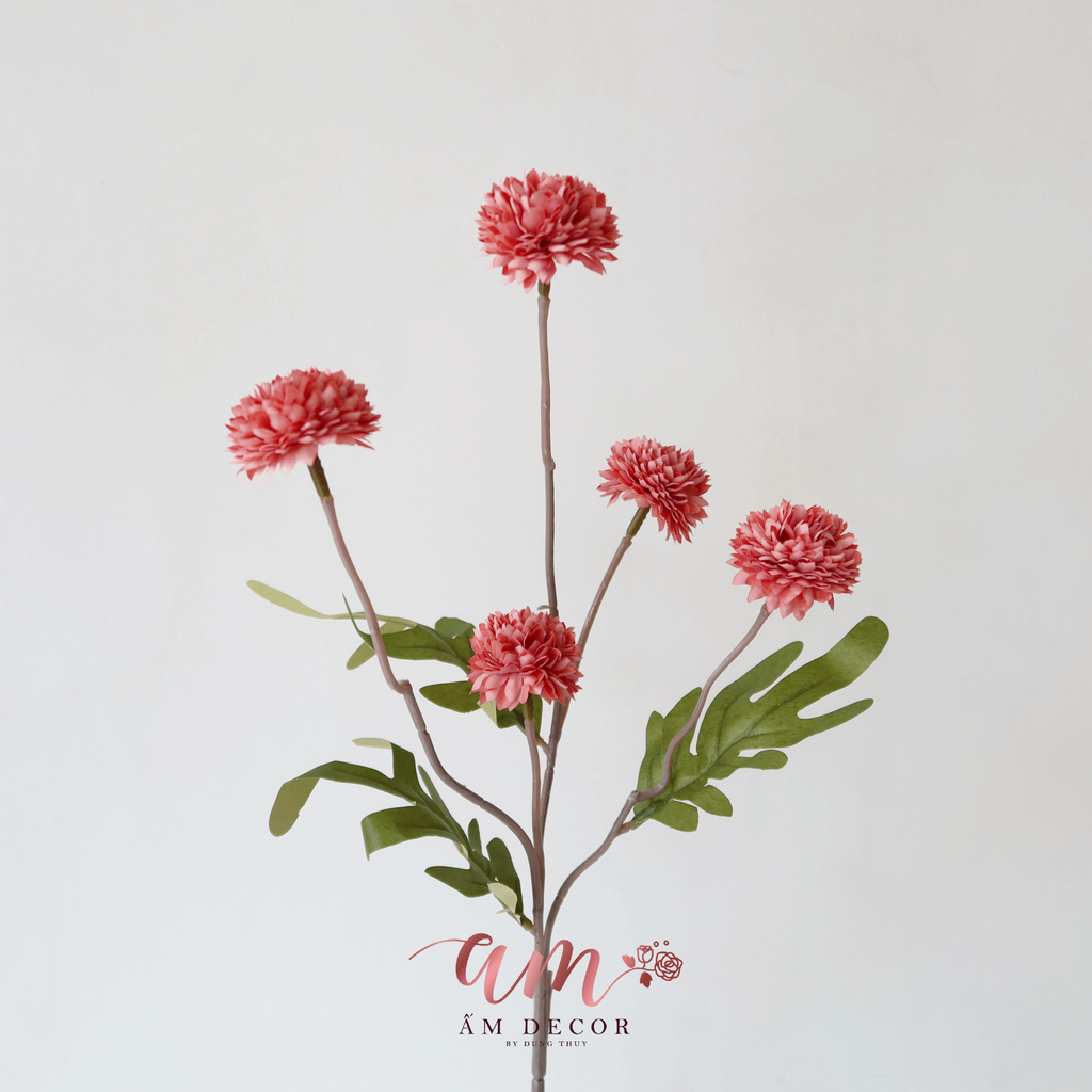 ZCÚC PING PONG NHÍ (Cam Cháy)