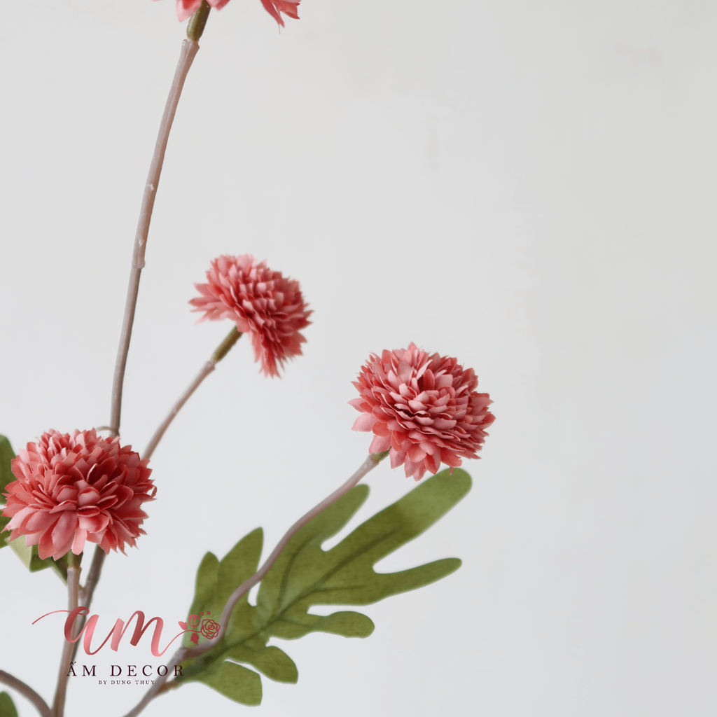 ZCÚC PING PONG NHÍ (Cam Cháy)