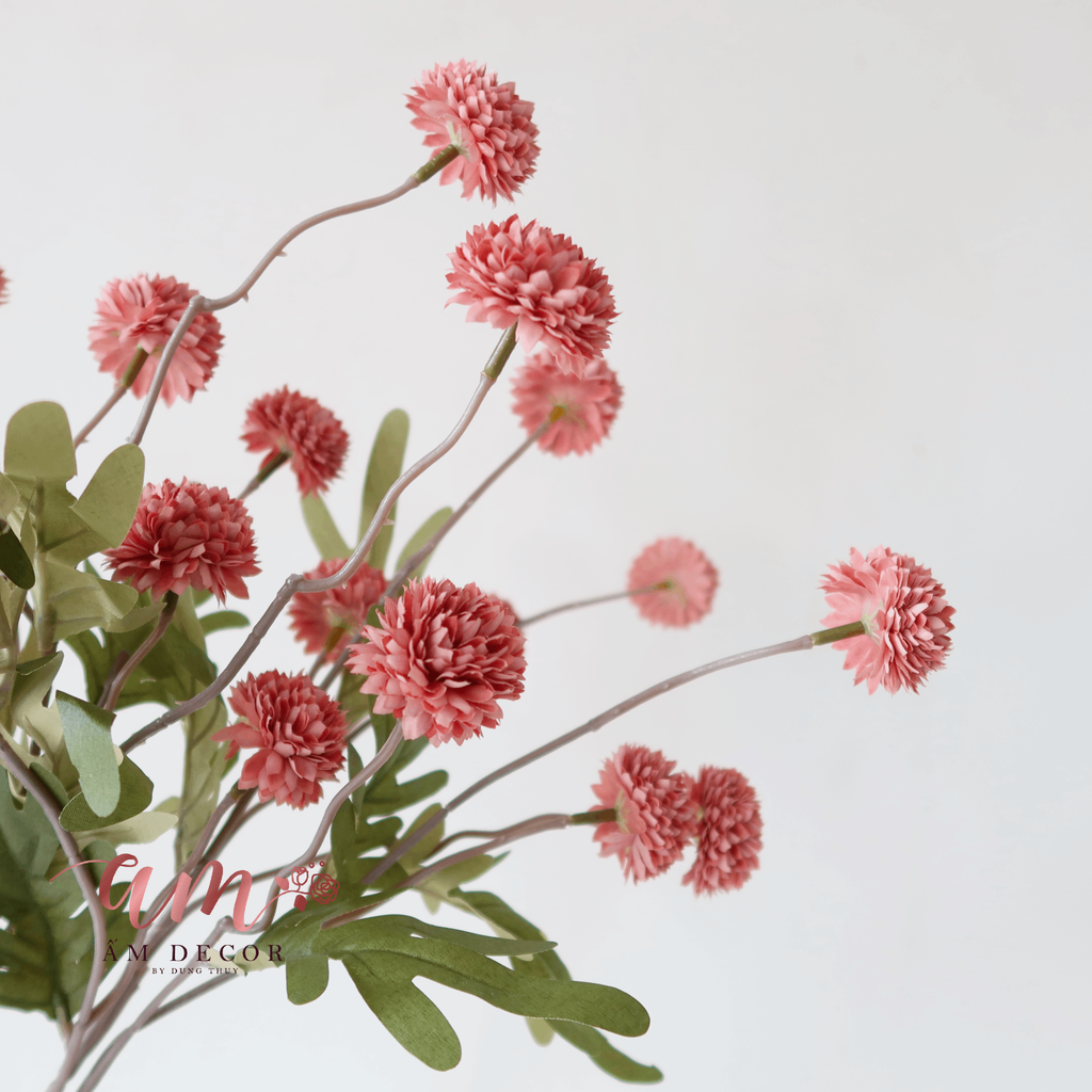 ZCÚC PING PONG NHÍ (Cam Cháy)