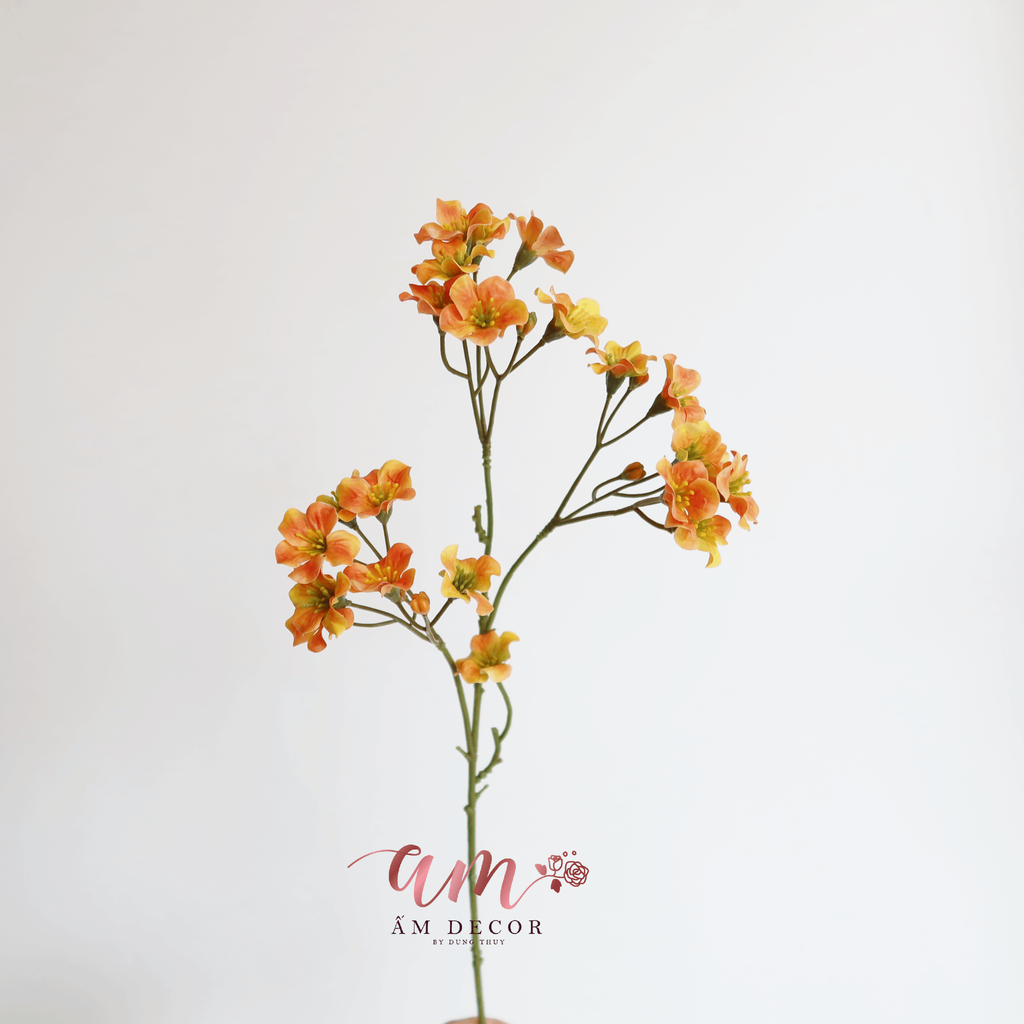 CÀNH HOA THANH LIỄU KHÔNG LÁ (Cam)