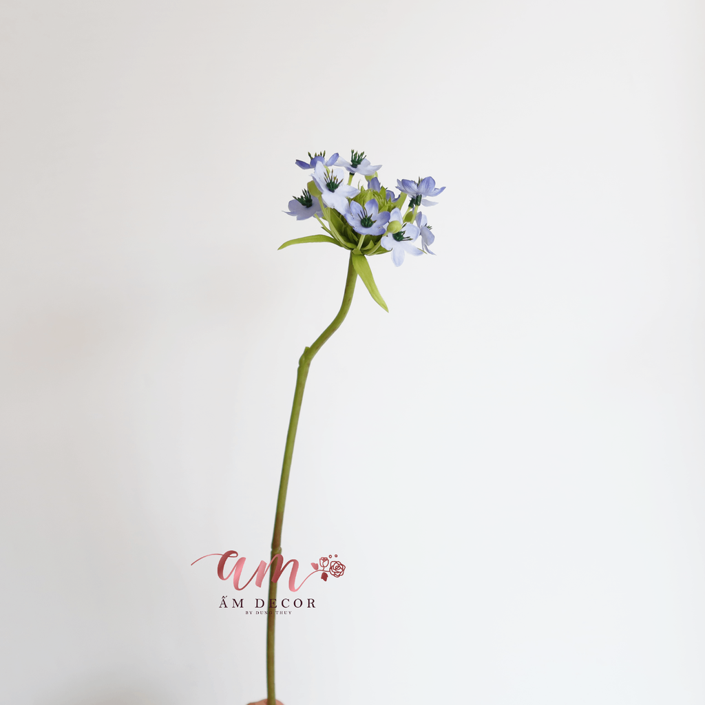 THIÊN NGA MẮT NGỌC (Xanh Dương)