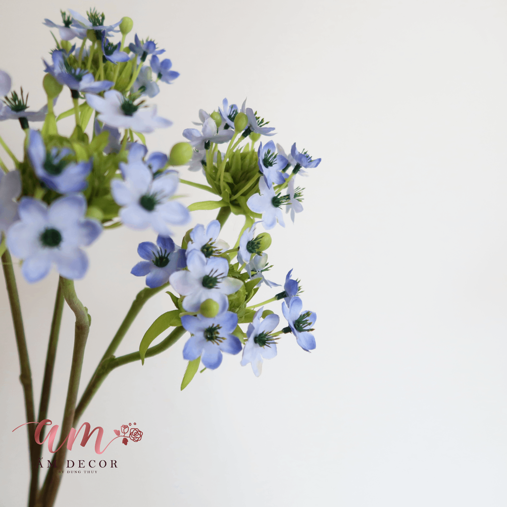 THIÊN NGA MẮT NGỌC (Xanh Dương)