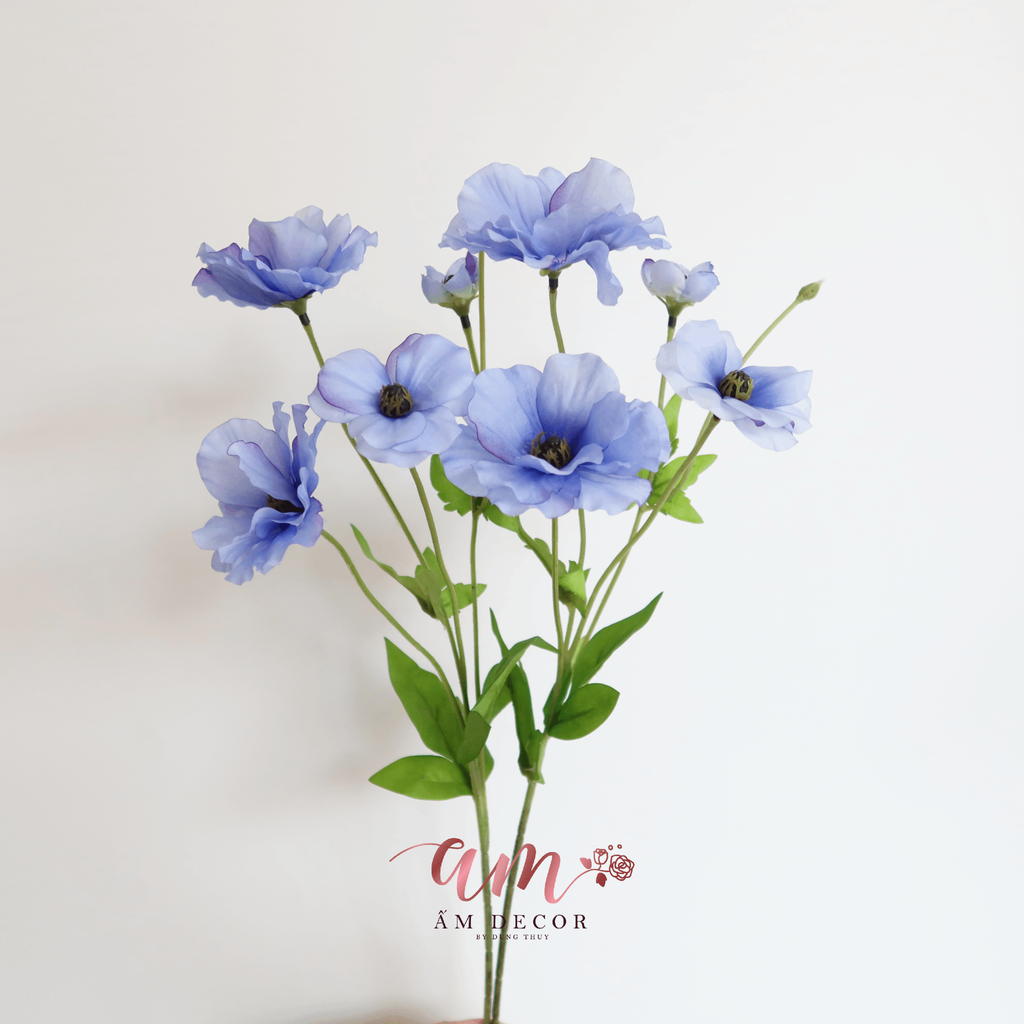 HOA CÁNH BƯỚM CẨM QUỲ (Xanh Dương)