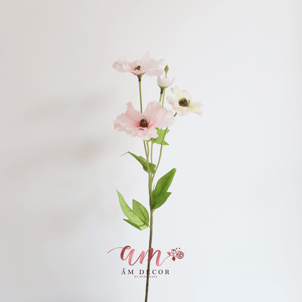 HOA CÁNH BƯỚM CẨM QUỲ (Hồng)