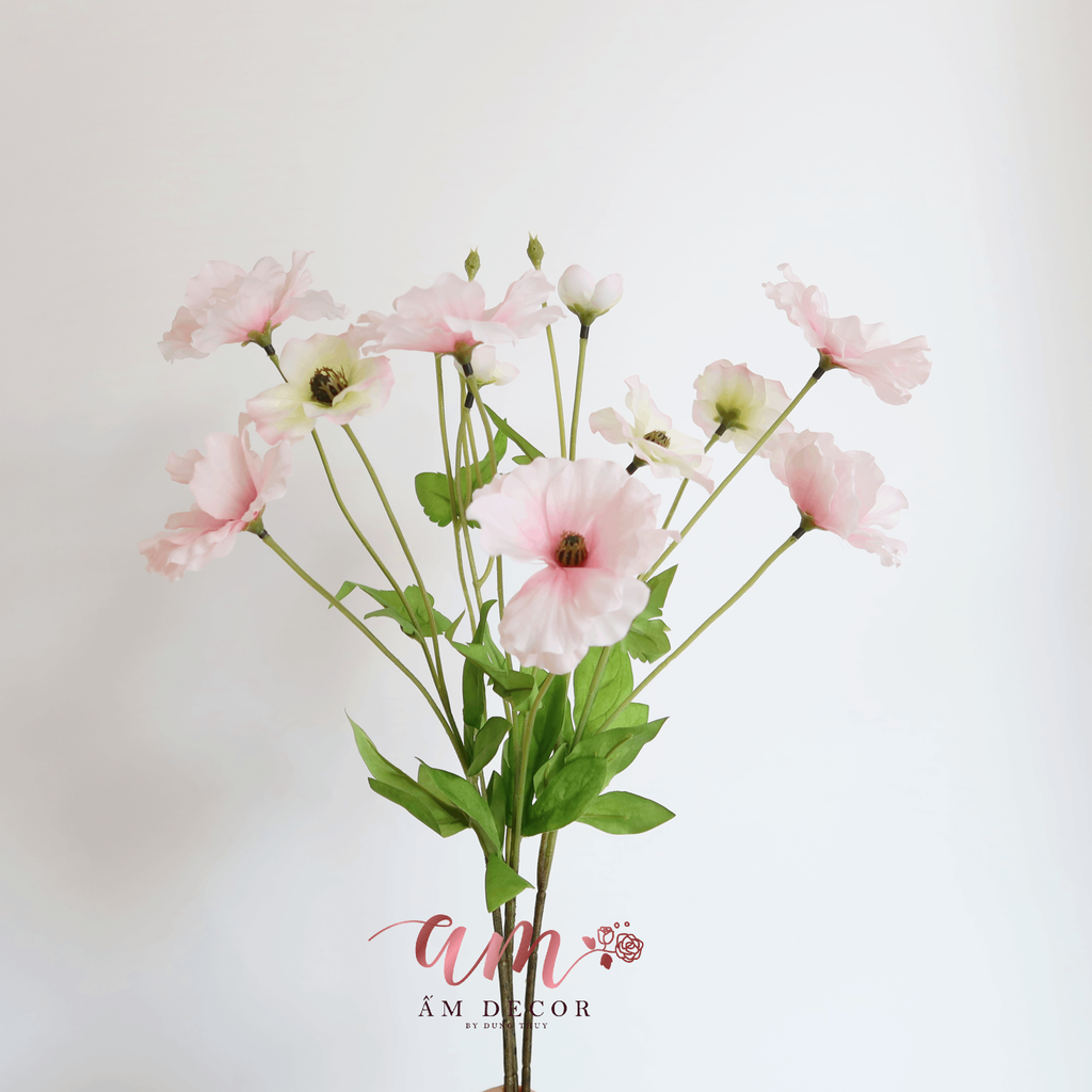 HOA CÁNH BƯỚM CẨM QUỲ (Hồng)