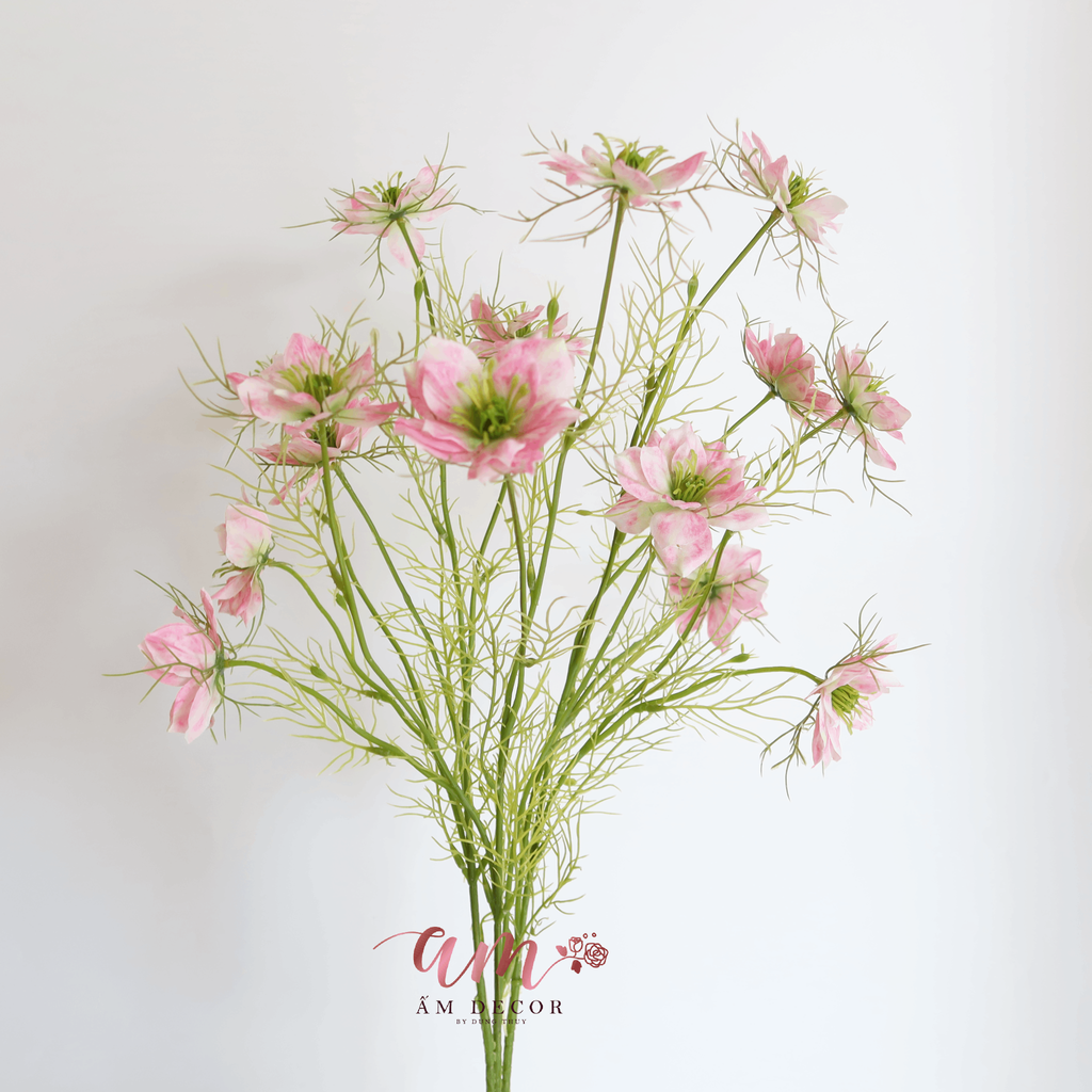 HOA SATIVA GESANG HÀN QUỐC (Hồng)