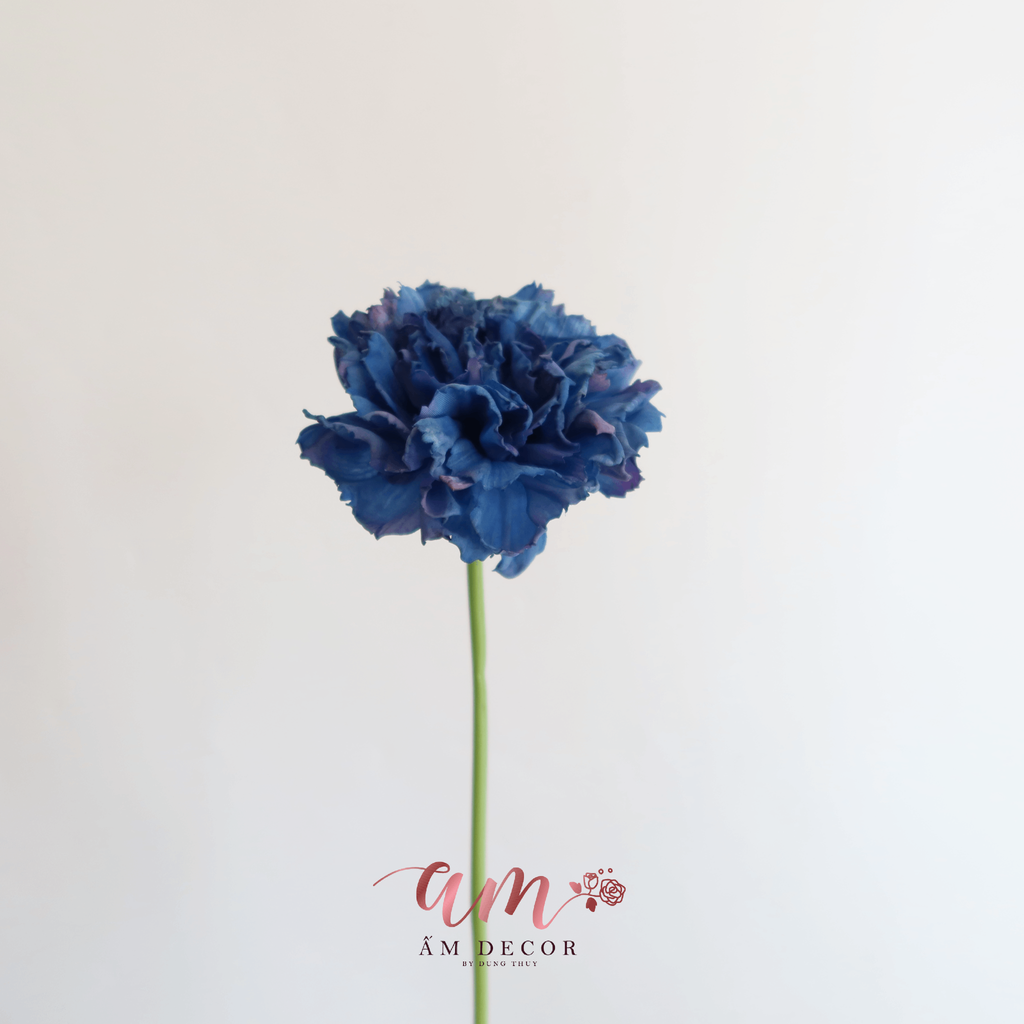 CẨM CHƯỚNG 3D (Xanh Dương)