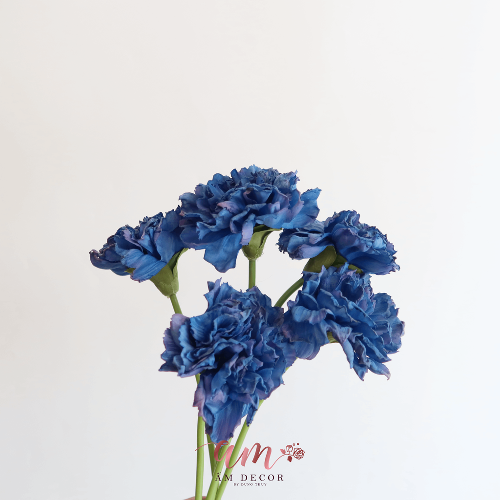 CẨM CHƯỚNG 3D (Xanh Dương)