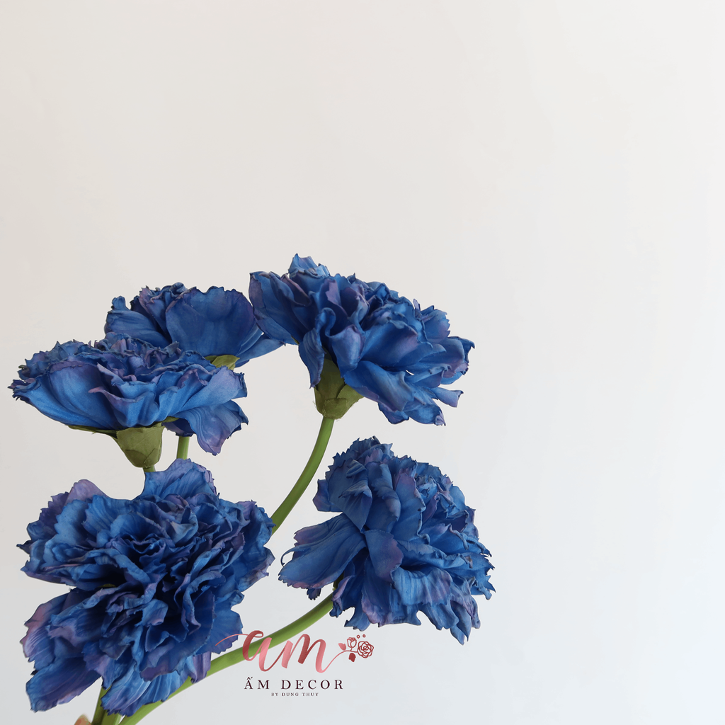 CẨM CHƯỚNG 3D (Xanh Dương)