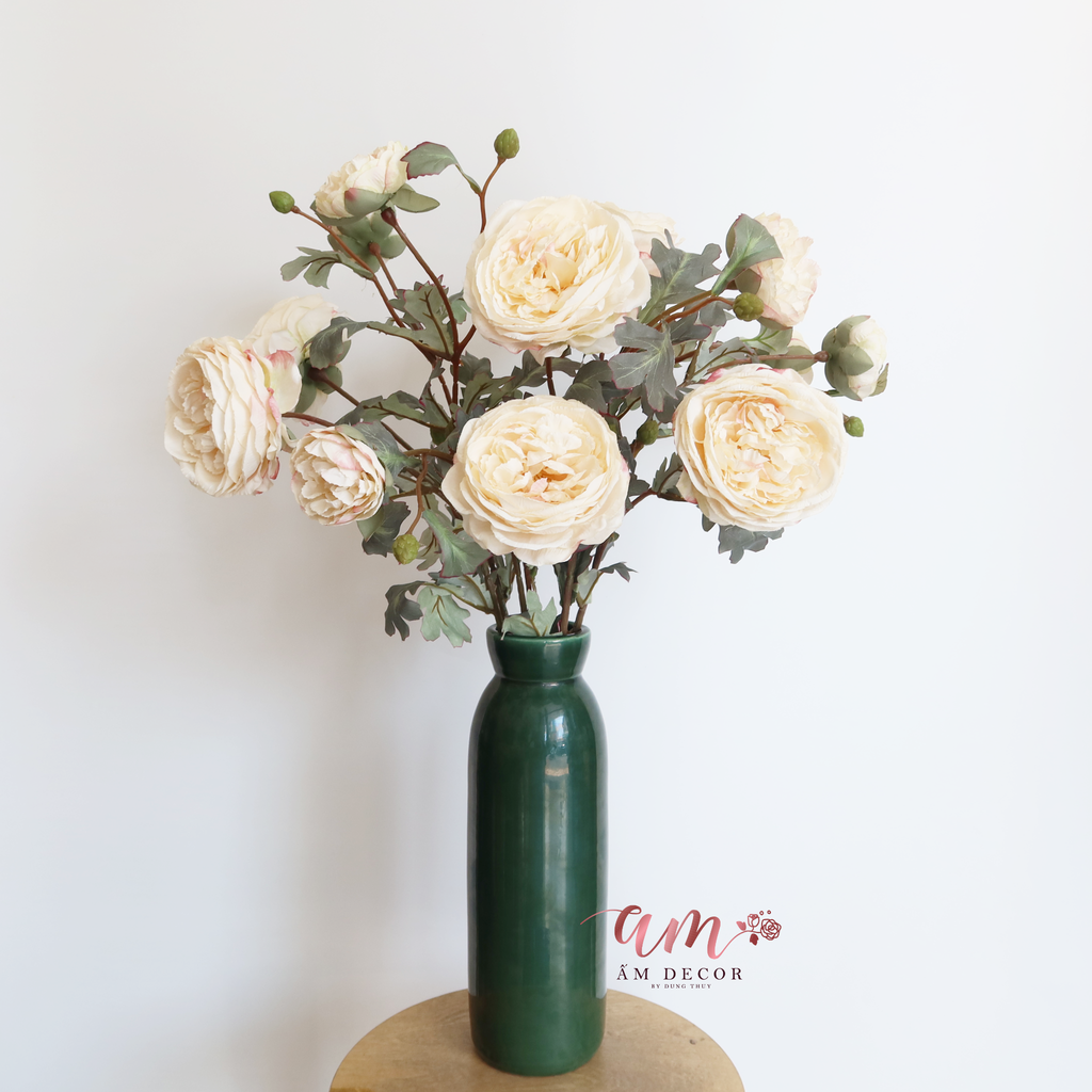 HỒNG MẪU ĐƠN TRẮNG