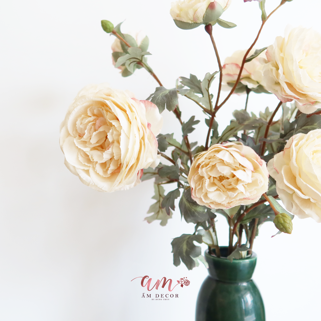 HỒNG MẪU ĐƠN TRẮNG